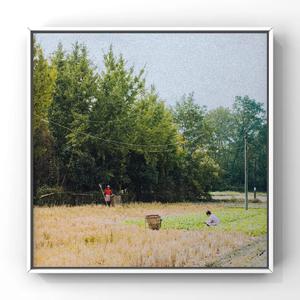 jizzjizzjizzjizz国产
